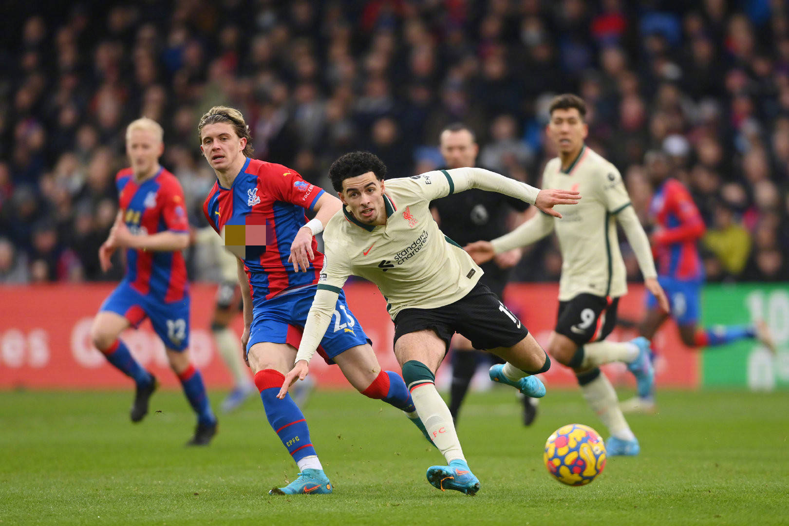 体健康的代 体健康的代